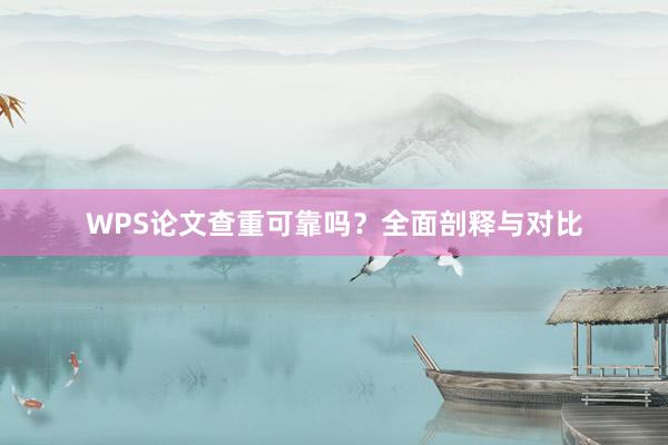 WPS论文查重可靠吗？全面剖释与对比