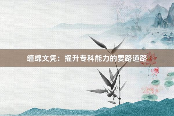 缠绵文凭：擢升专科能力的要路道路