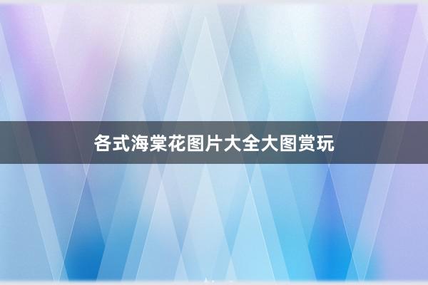 各式海棠花图片大全大图赏玩