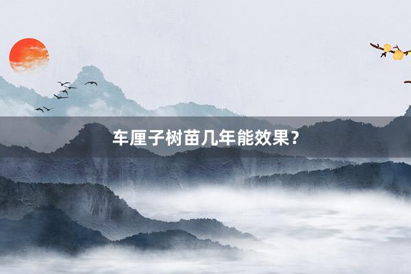车厘子树苗几年能效果？