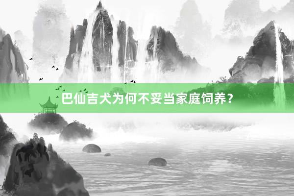 巴仙吉犬为何不妥当家庭饲养？